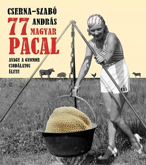 Pacalista és pacal-lista 
