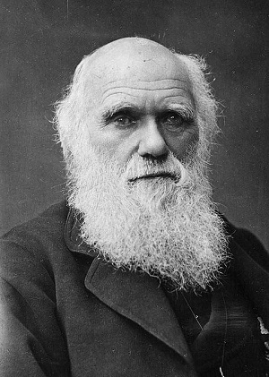 Akár egymillió fontot is érhet Charles Darwin kézirata