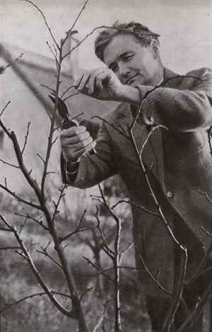 Németh László Lakitelken