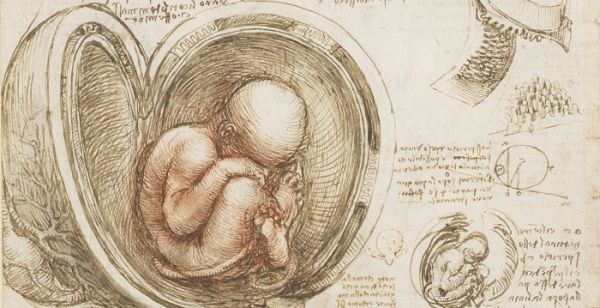 Mindent a méhekről