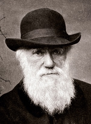 Értelemgazdag Darwin Napot kívánunk!