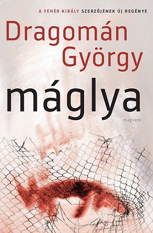 Máglya Drezdában