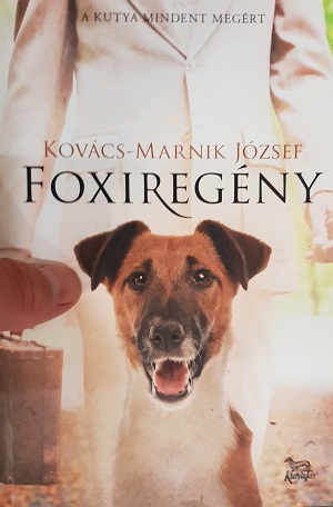 Örömökkel, nyűgökkel teli kutyasors