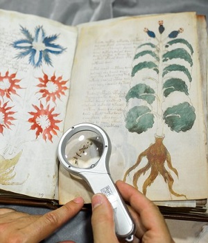 Lehet, hogy megfejtették a Voynich-kéziratot 