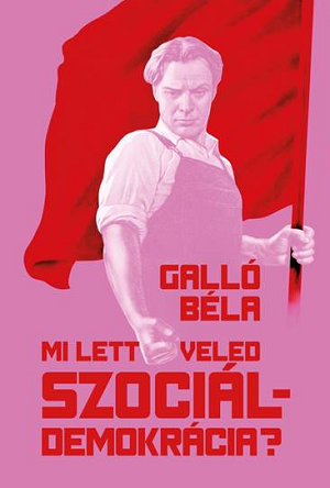 Hanyatlóban a szociáldemokrácia?