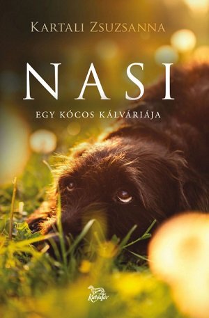 Nasi, akit meg kell zabálni
