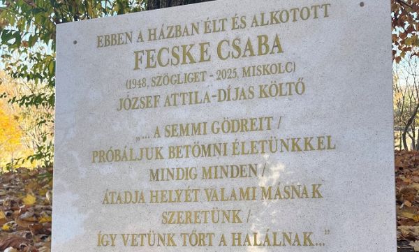 ,,A semmi gödreit próbáljuk betömni életünkkel”