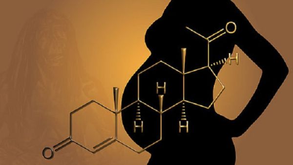 Várandósság és más csodák