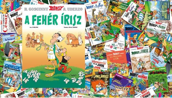 Fehér írisz, lila szemhéj