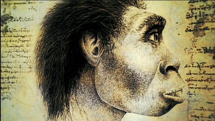 Mit beszélt a Homo erectus?