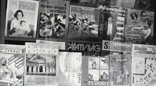 Ez nem papírgyűjtés